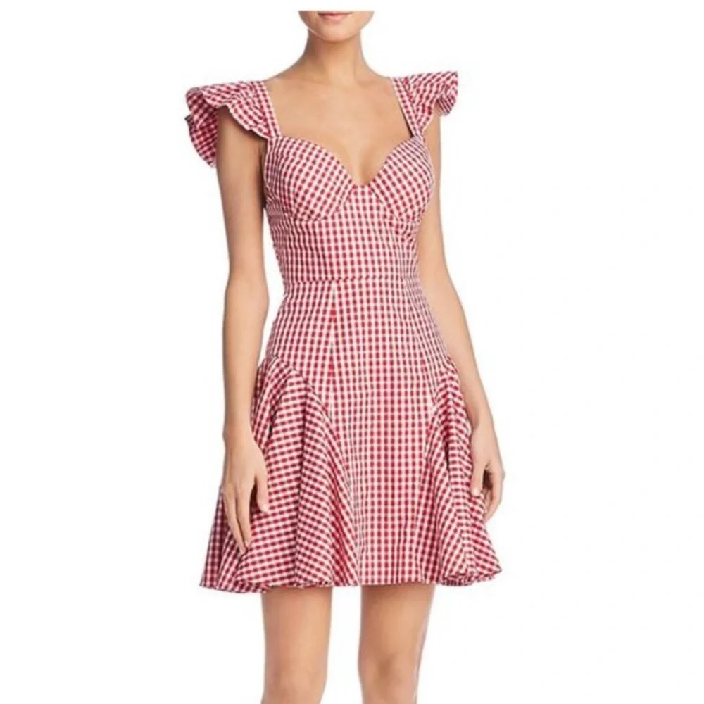Petersyn Red Gingham Mini Dress - Picture 1 of 3